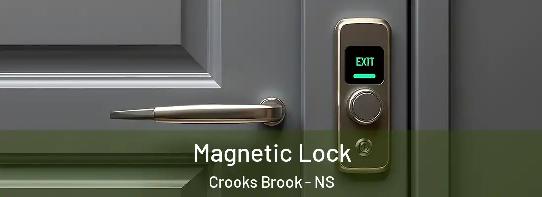  Magnetic Lock Crooks Brook - NS