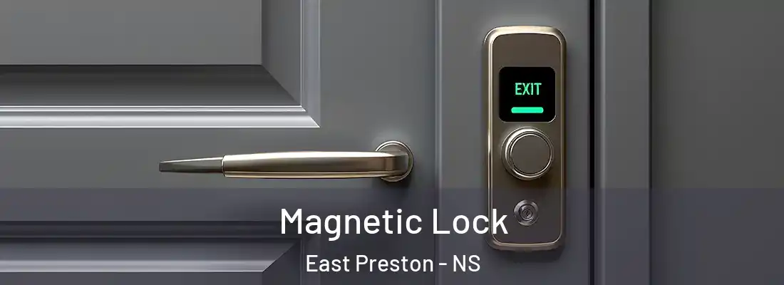 Magnetic Lock East Preston - NS