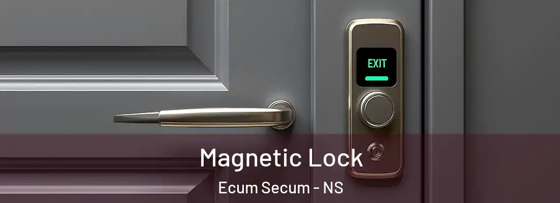  Magnetic Lock Ecum Secum - NS