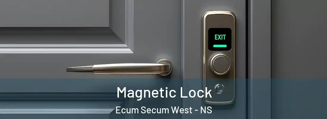 Magnetic Lock Ecum Secum West - NS