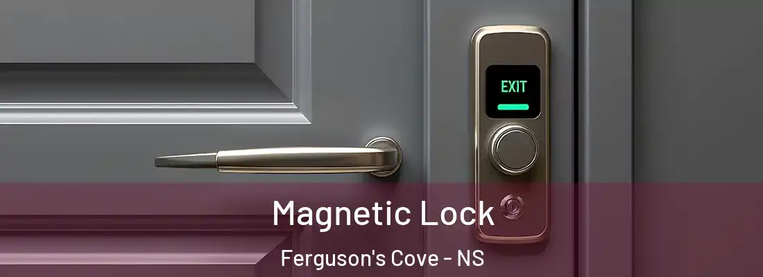 Magnetic Lock Ferguson's Cove - NS