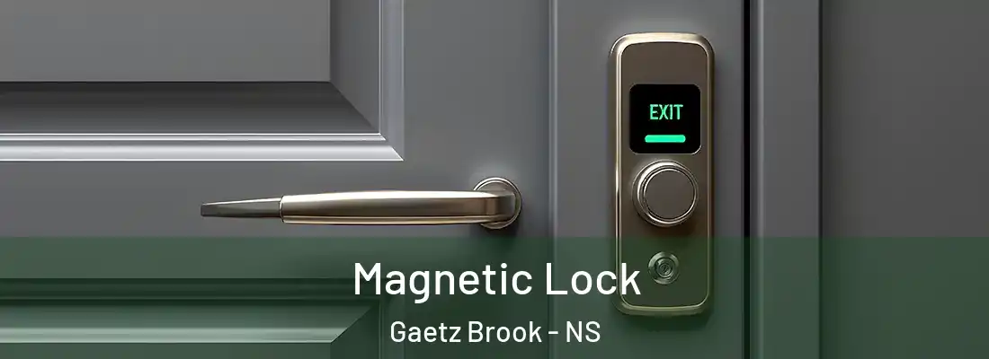 Magnetic Lock Gaetz Brook - NS