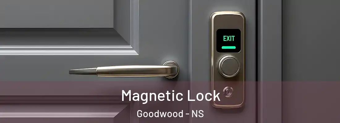  Magnetic Lock Goodwood - NS