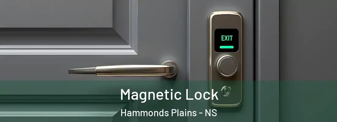 Magnetic Lock Hammonds Plains - NS