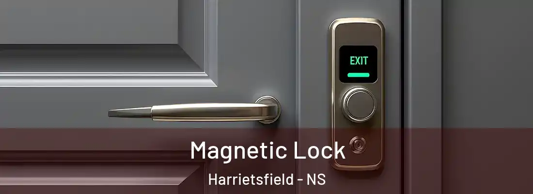  Magnetic Lock Harrietsfield - NS