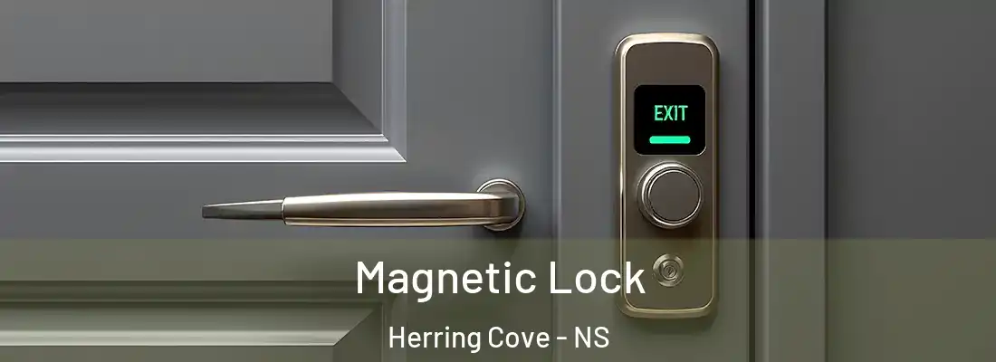 Magnetic Lock Herring Cove - NS