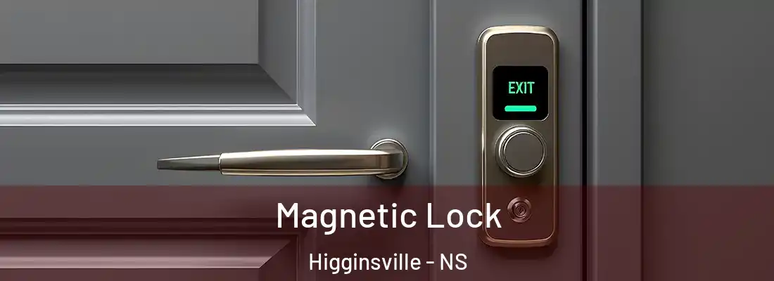 Magnetic Lock Higginsville - NS