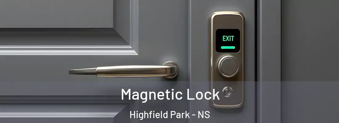  Magnetic Lock Highfield Park - NS