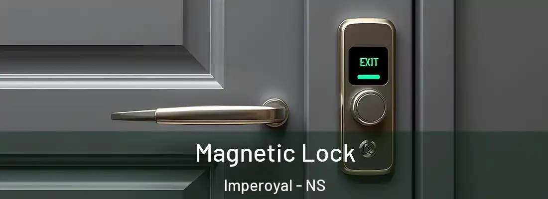 Magnetic Lock Imperoyal - NS