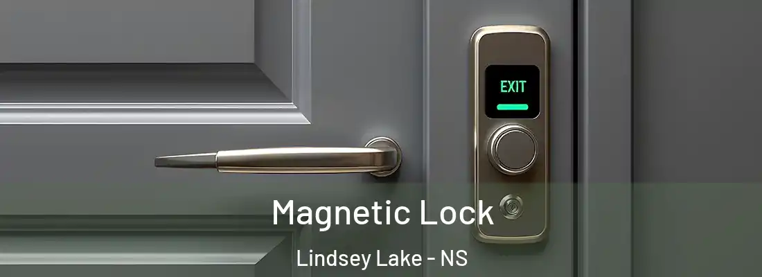 Magnetic Lock Lindsey Lake - NS