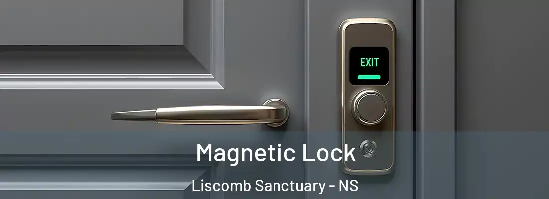 Magnetic Lock Liscomb Sanctuary - NS