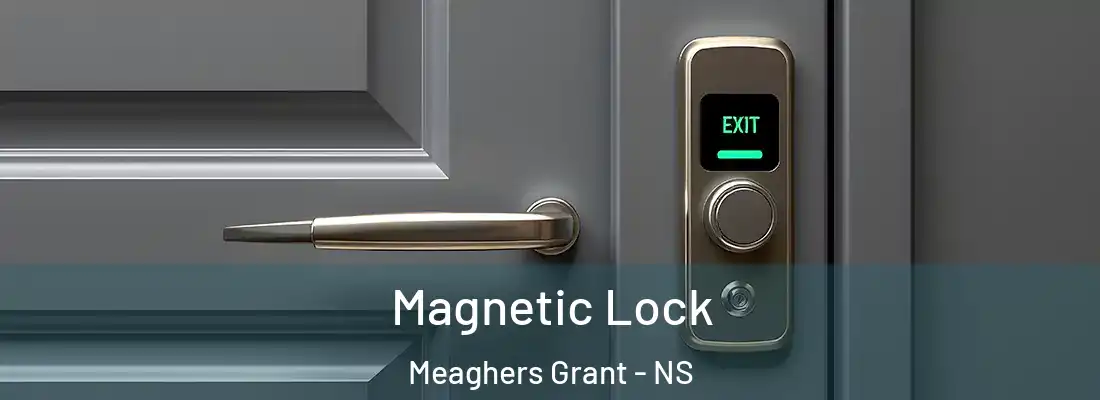 Magnetic Lock Meaghers Grant - NS
