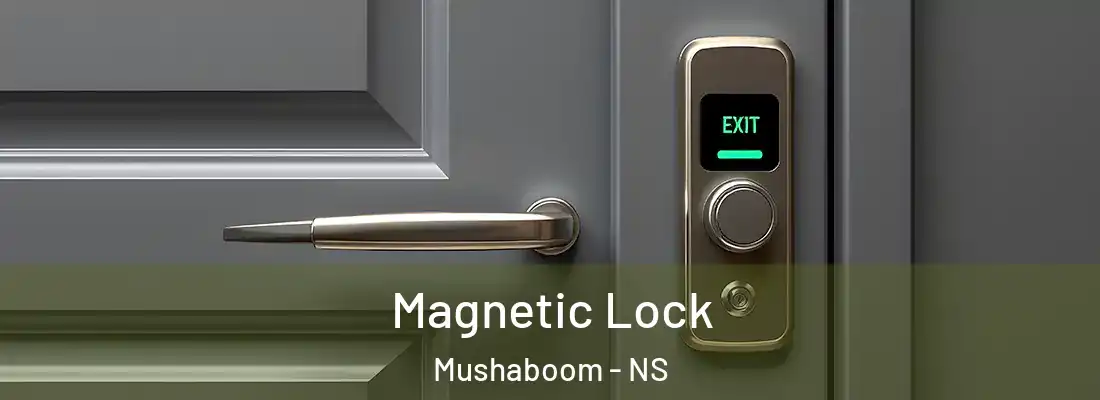 Magnetic Lock Mushaboom - NS