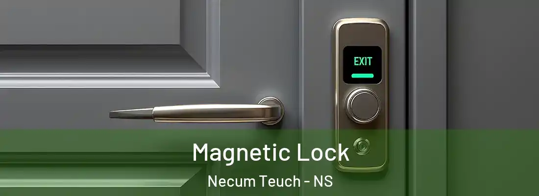  Magnetic Lock Necum Teuch - NS