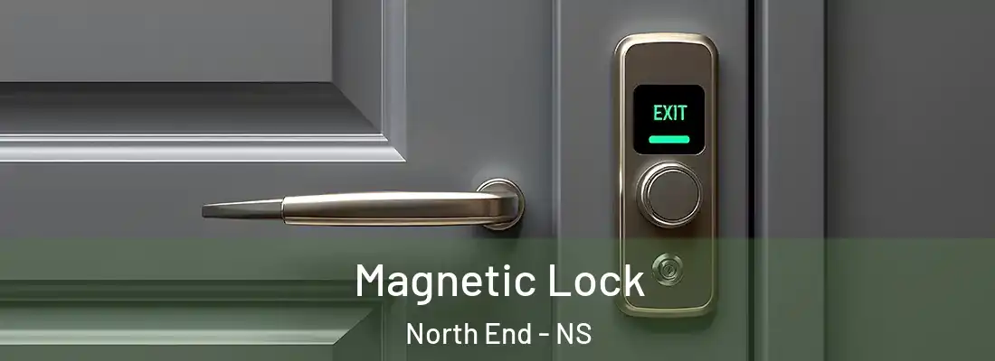 Magnetic Lock North End - NS