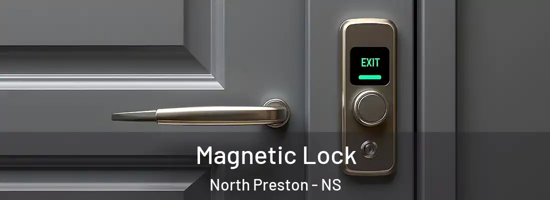  Magnetic Lock North Preston - NS