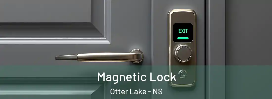 Magnetic Lock Otter Lake - NS