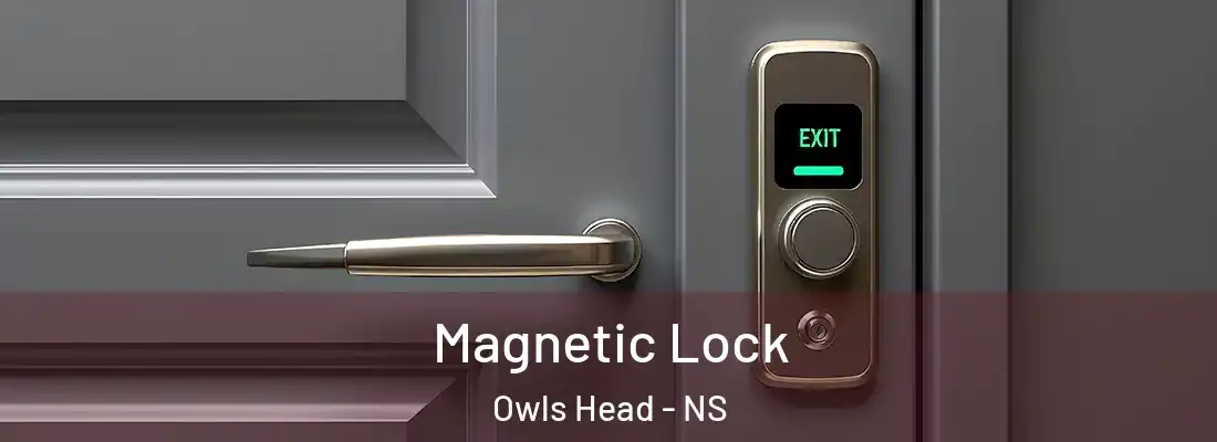 Magnetic Lock Owls Head - NS