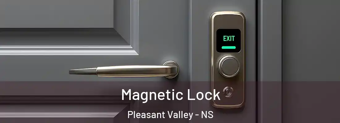 Magnetic Lock Pleasant Valley - NS
