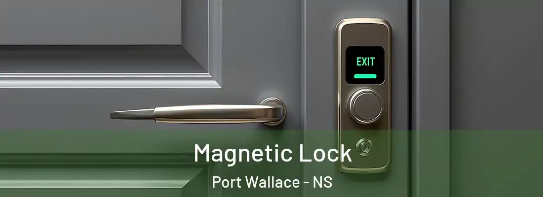 Magnetic Lock Port Wallace - NS