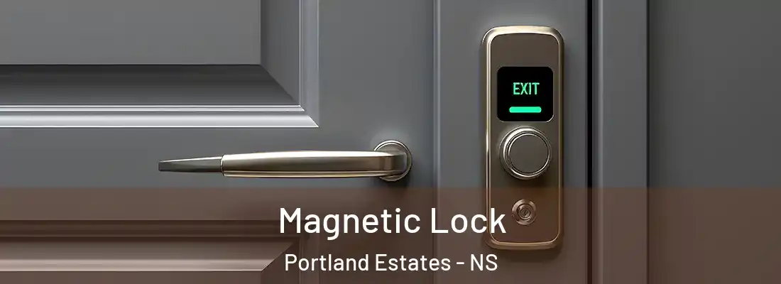 Magnetic Lock Portland Estates - NS