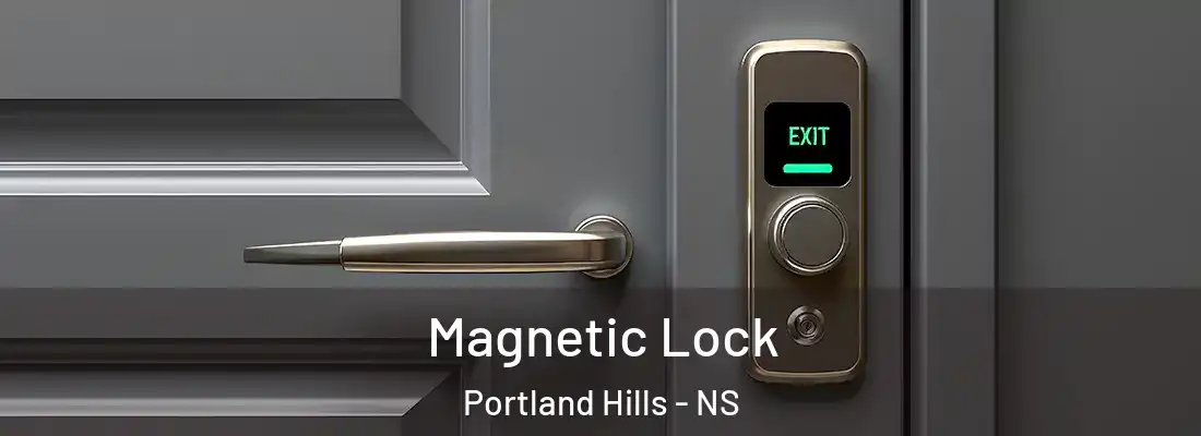 Magnetic Lock Portland Hills - NS