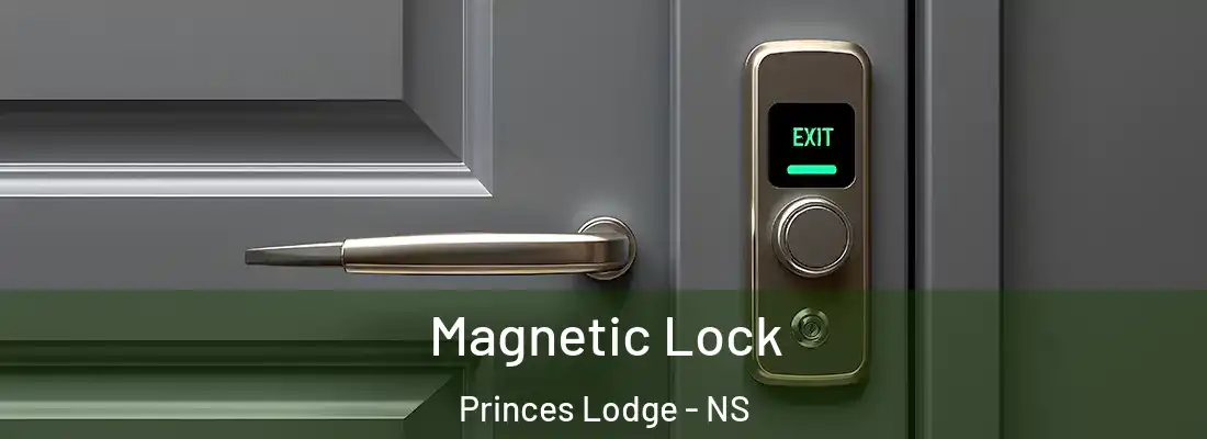  Magnetic Lock Princes Lodge - NS