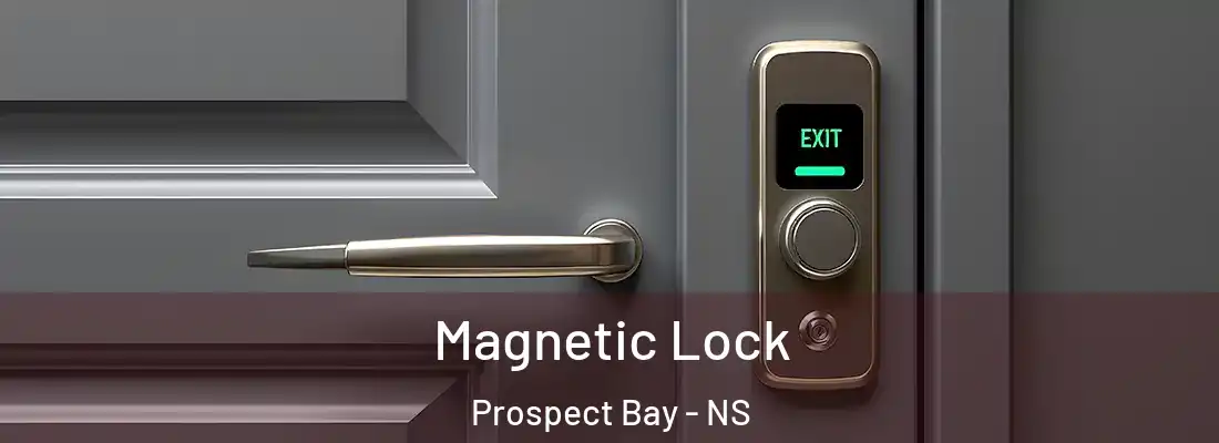 Magnetic Lock Prospect Bay - NS