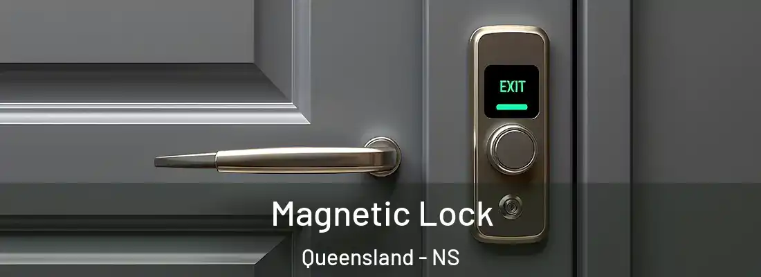 Magnetic Lock Queensland - NS