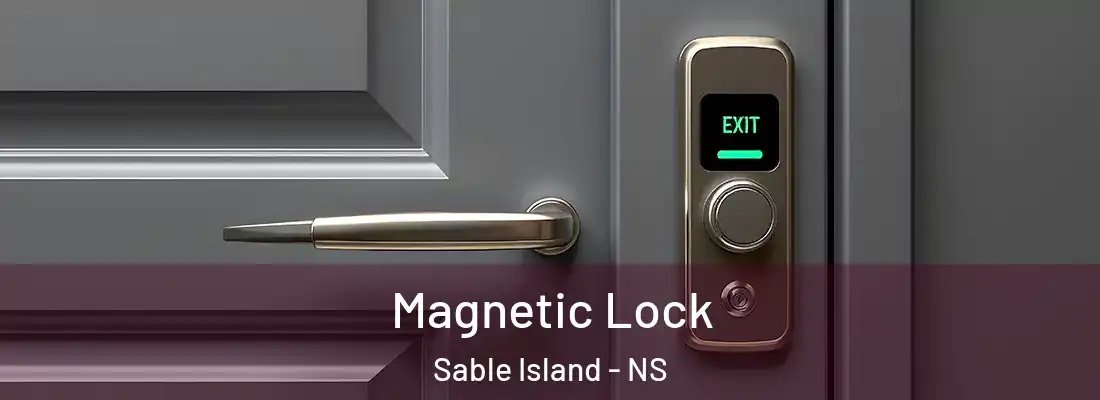  Magnetic Lock Sable Island - NS
