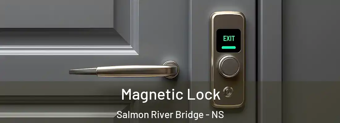 Magnetic Lock Salmon River Bridge - NS