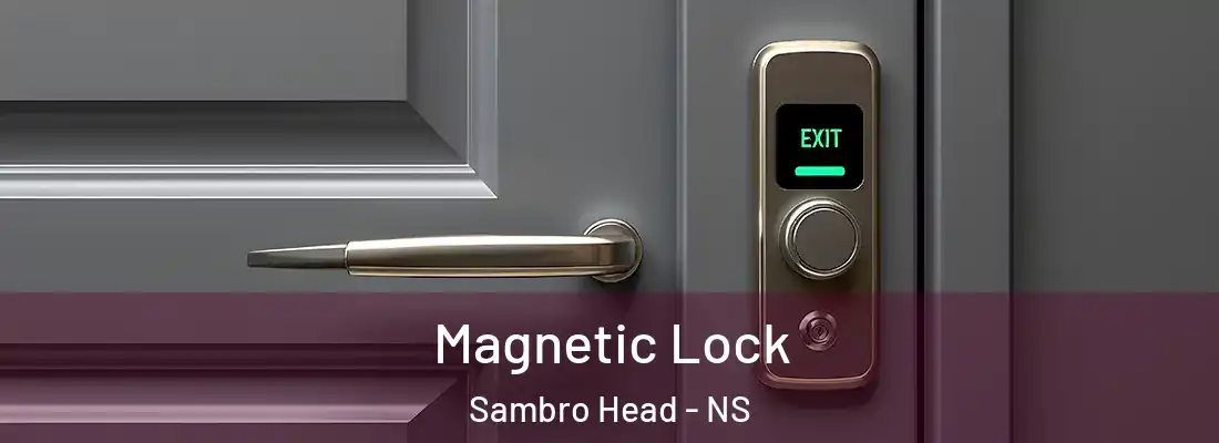 Magnetic Lock Sambro Head - NS