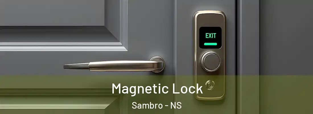  Magnetic Lock Sambro - NS