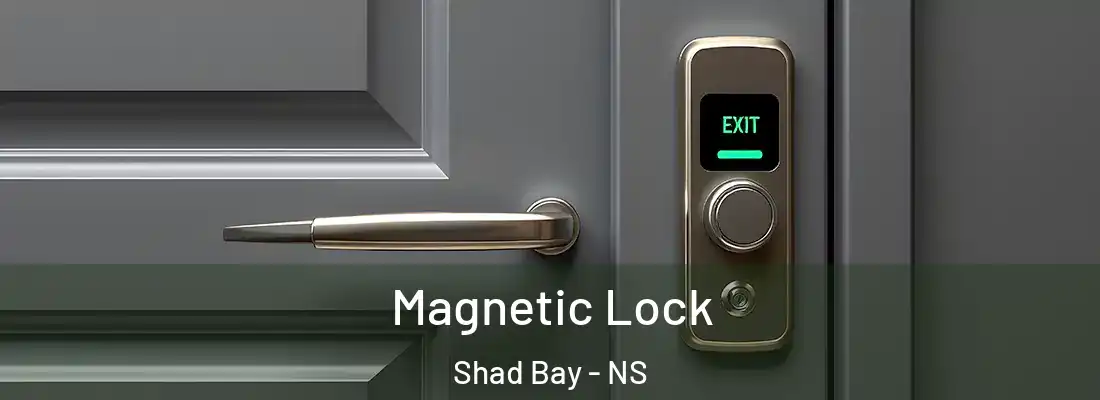 Magnetic Lock Shad Bay - NS