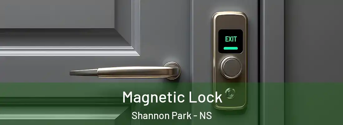  Magnetic Lock Shannon Park - NS