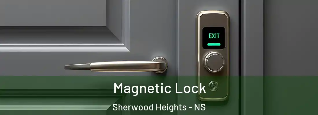 Magnetic Lock Sherwood Heights - NS
