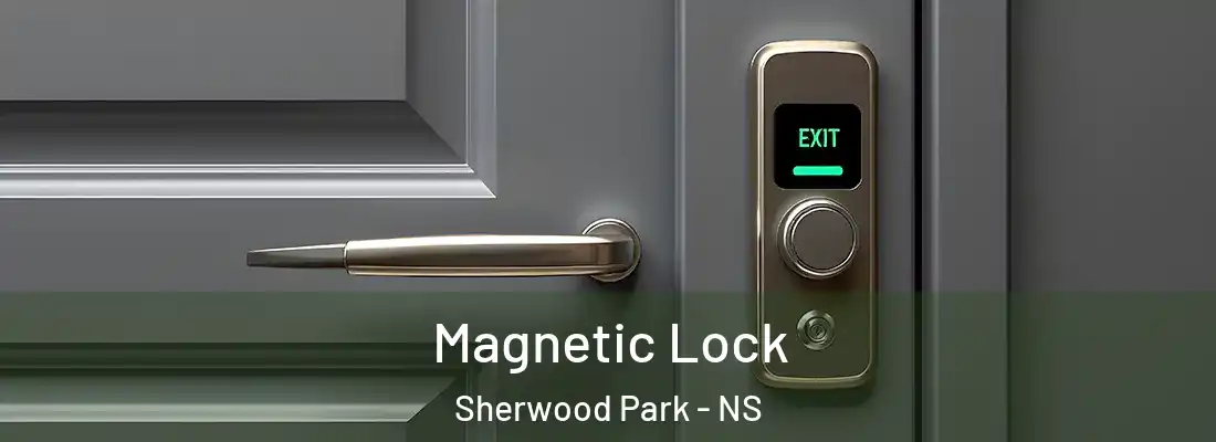 Magnetic Lock Sherwood Park - NS