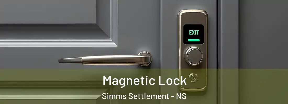 Magnetic Lock Simms Settlement - NS