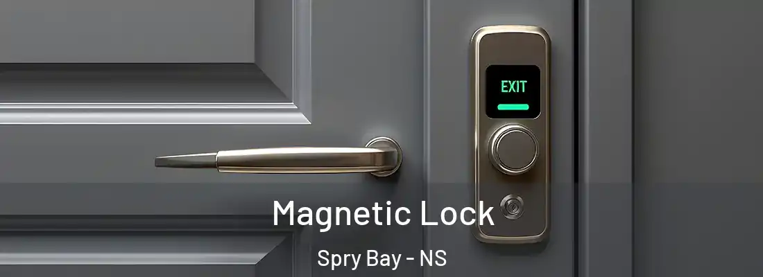 Magnetic Lock Spry Bay - NS