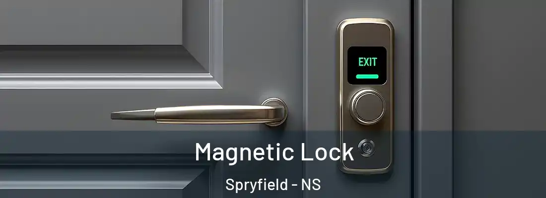 Magnetic Lock Spryfield - NS
