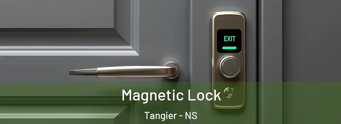 Magnetic Lock Tangier - NS
