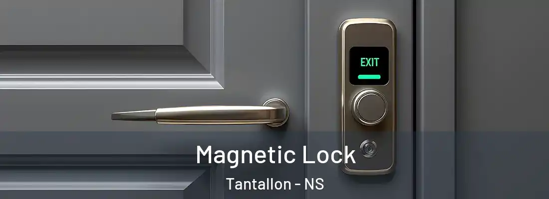  Magnetic Lock Tantallon - NS