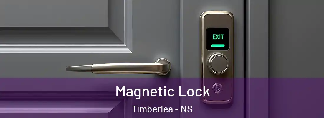 Magnetic Lock Timberlea - NS