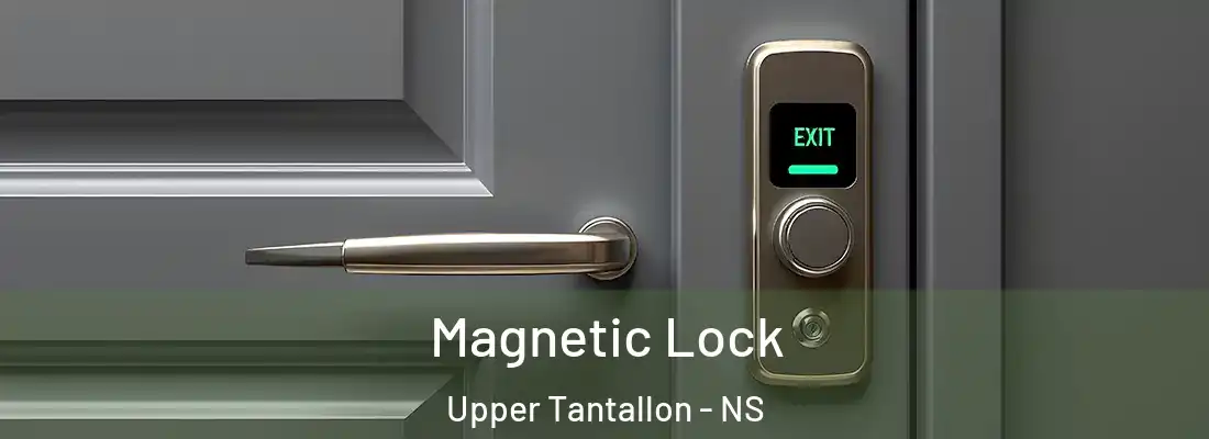Magnetic Lock Upper Tantallon - NS
