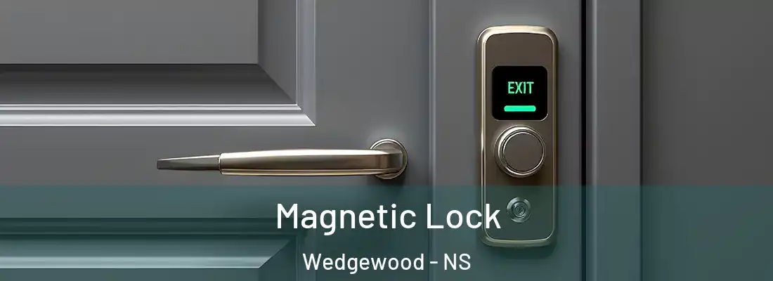 Magnetic Lock Wedgewood - NS