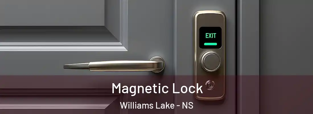 Magnetic Lock Williams Lake - NS