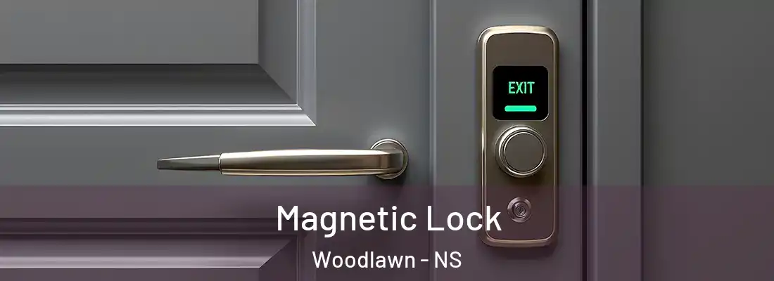 Magnetic Lock Woodlawn - NS