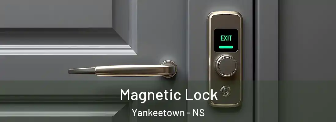 Magnetic Lock Yankeetown - NS