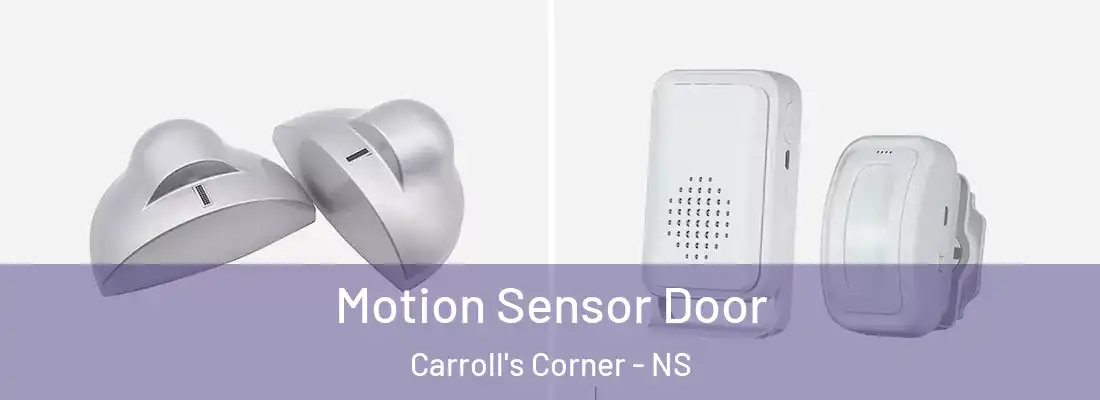 Motion Sensor Door Carroll's Corner - NS