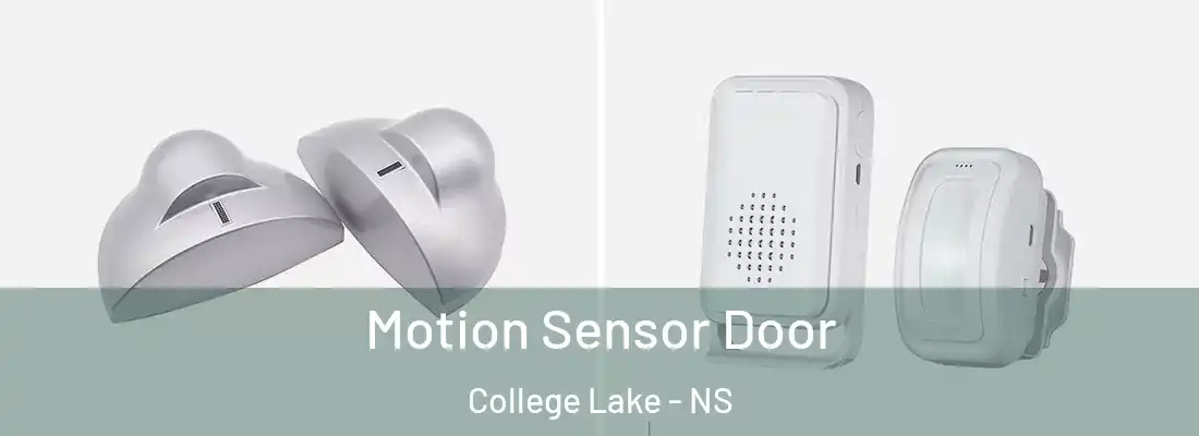  Motion Sensor Door College Lake - NS